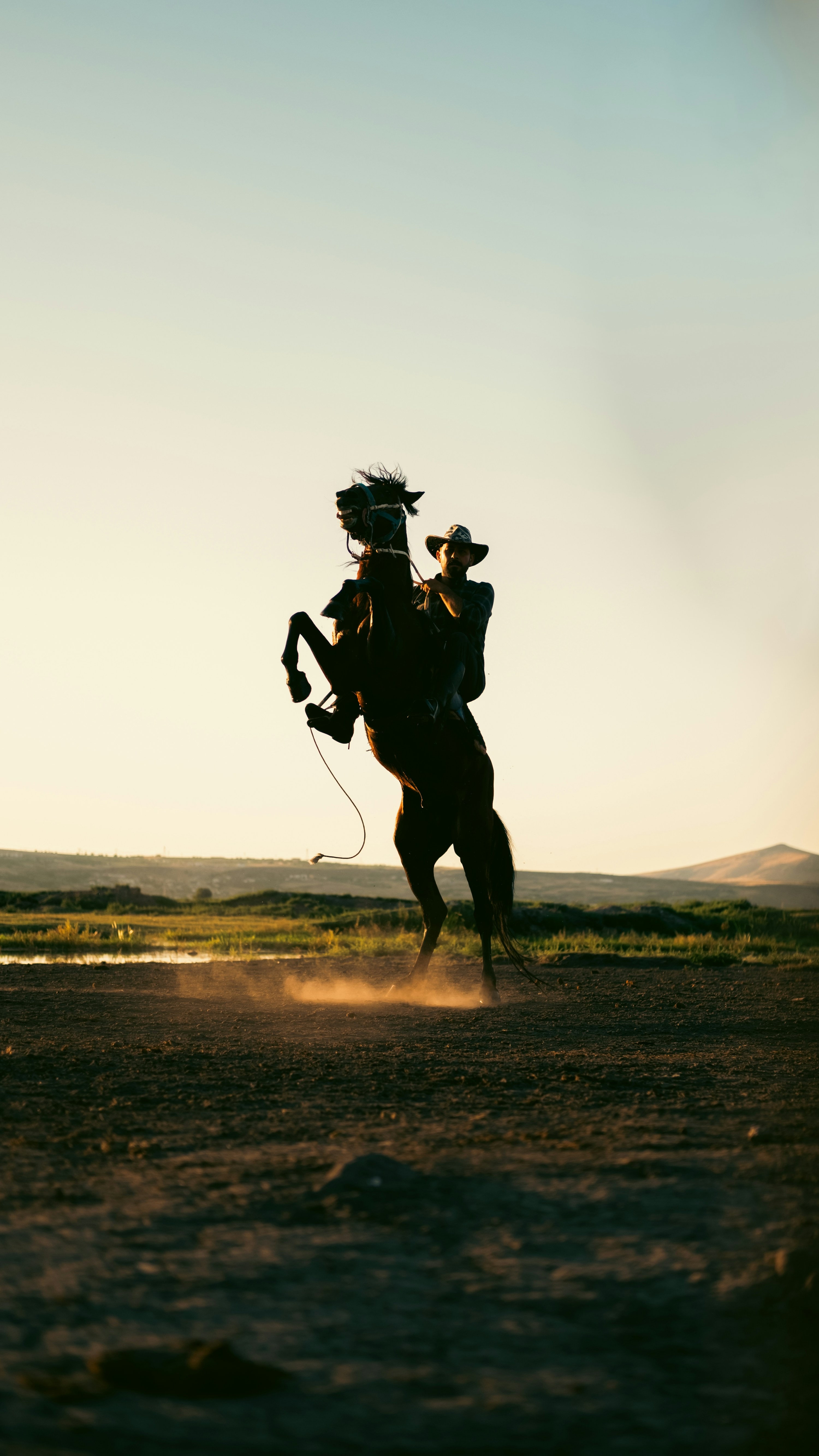 Cowboy on a rearing horse at sunset